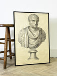 Large Marble Bust Etching of a Roman Consul