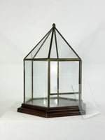 Antique Early 20th Century Terrarium