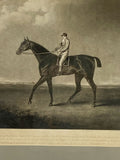 Pair of 19th Century Racehorse Prints