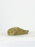 Academic Fragment of a Roman Foot