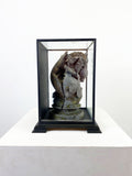Italian Plaster Fragment Sculpture in Display Case