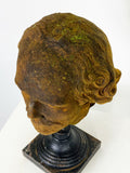 Vintage Terracotta Bust on Display Stand