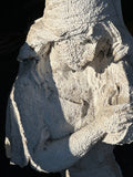 Weathered Female Plaster Bust