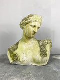 Weathered Classical Bust