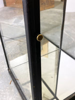 Ebonised Mirrored Display Case