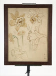 Daffodils in Watercolour