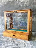 Display Case Show Cabinet