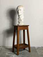 Classical Weathered Bust