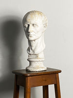 Classical Weathered Bust