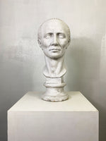White Classical Bust
