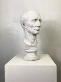 White Classical Bust