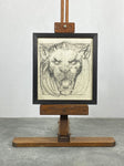 19th Century Lion Study by Amor Fenn