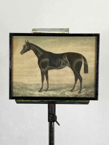 19th Century Horse Picture
