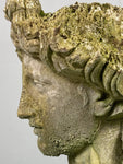 Weathered Classical Bust