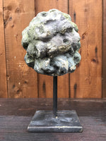 Stone Head on Stand